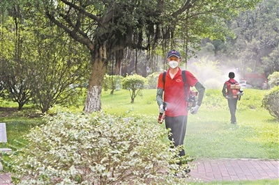 广州疾控蚊媒地图新功能上线 蚊媒地图一键可查风险区