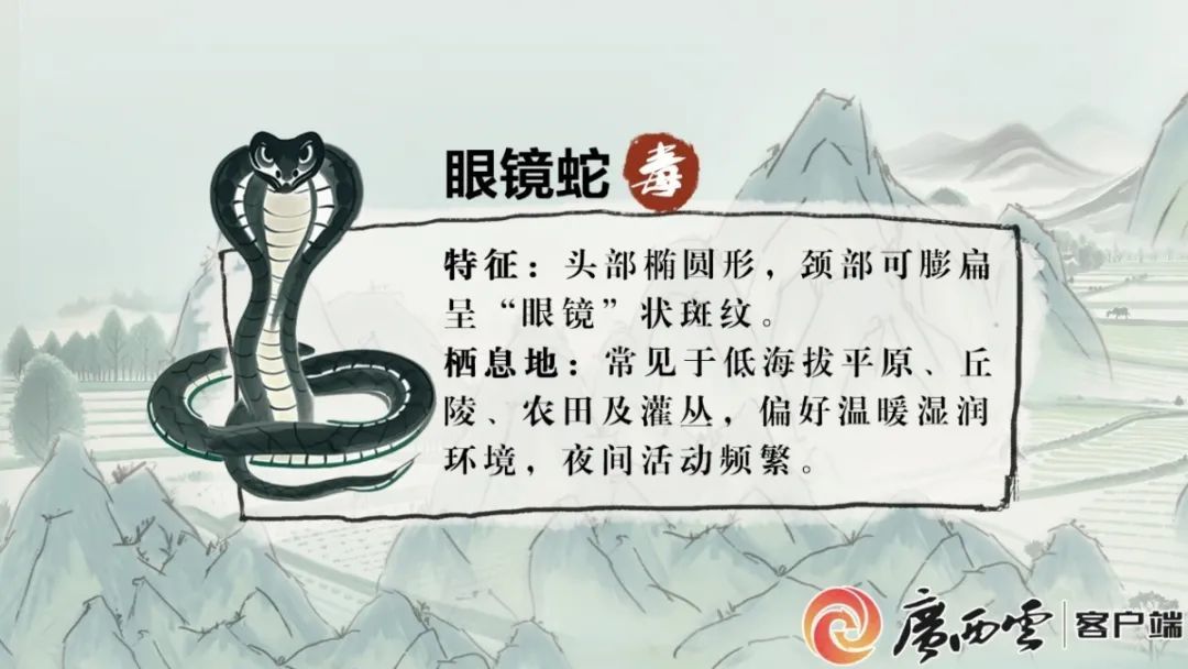 荒野被蛇咬≠死局，看广西如何硬核抢人！ 广西十大蛇伤救治中心名单