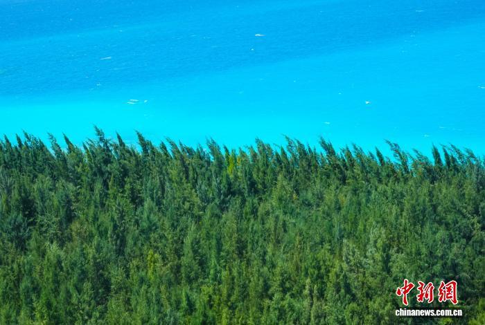 在南海看见森林——我国南海岛礁生态环保建设取得显著成效