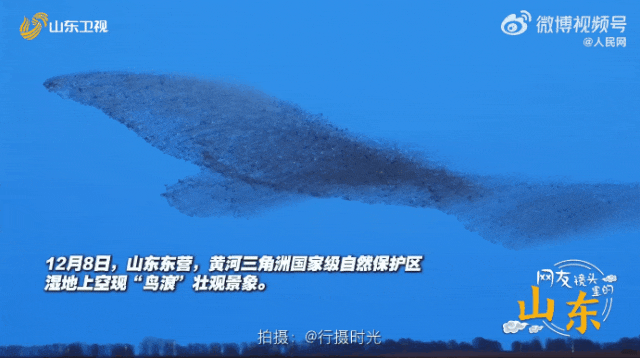 奇观！山东一地天空出现“巨鲸”！网友：太震撼，有了鲲鹏的画面感……