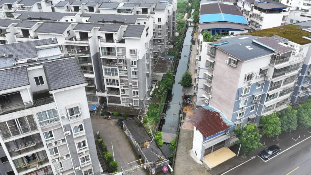 花275万元治理的村河，2年后又臭了？