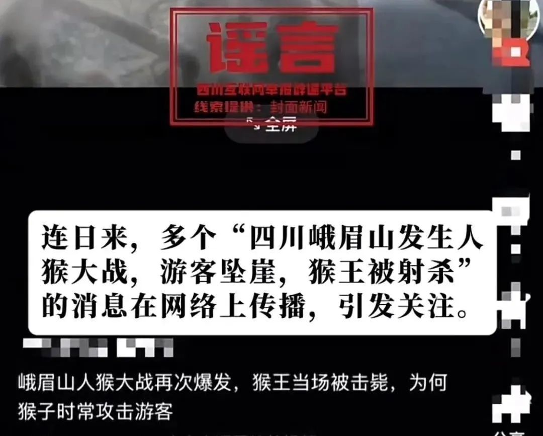 “峨眉山人猴大战游客坠崖？”逐帧溯源！网警查处多名造谣者！