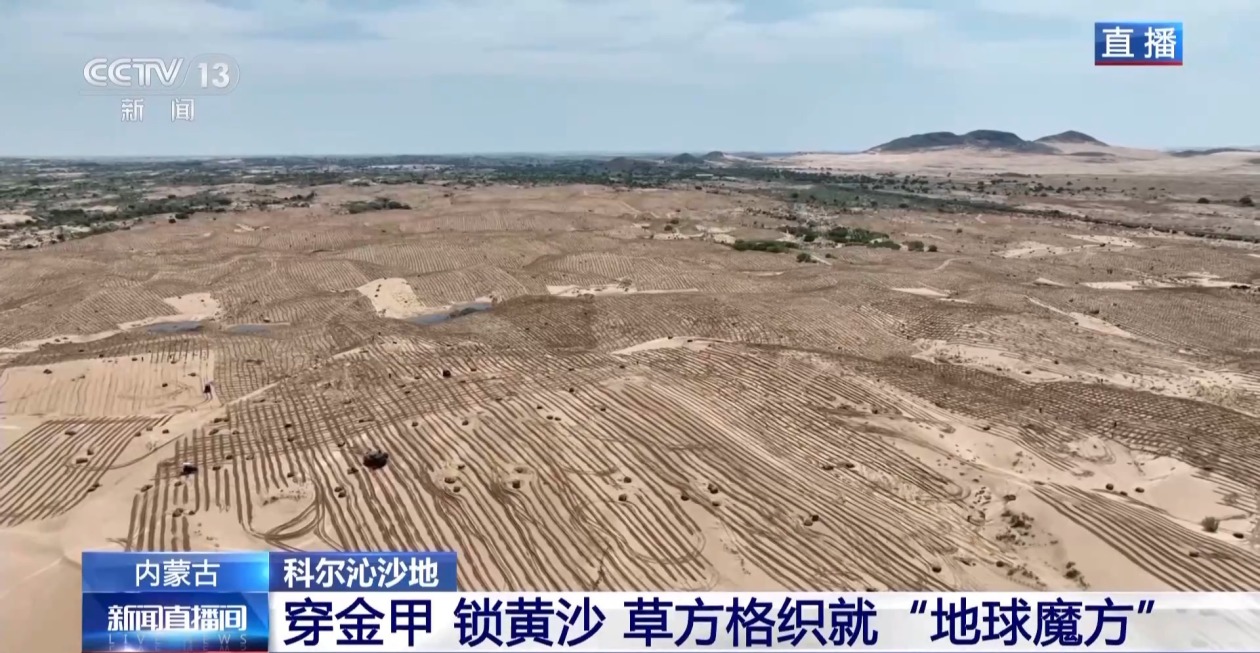 内蒙古翁牛特旗锁沙致富分几步？一起来看