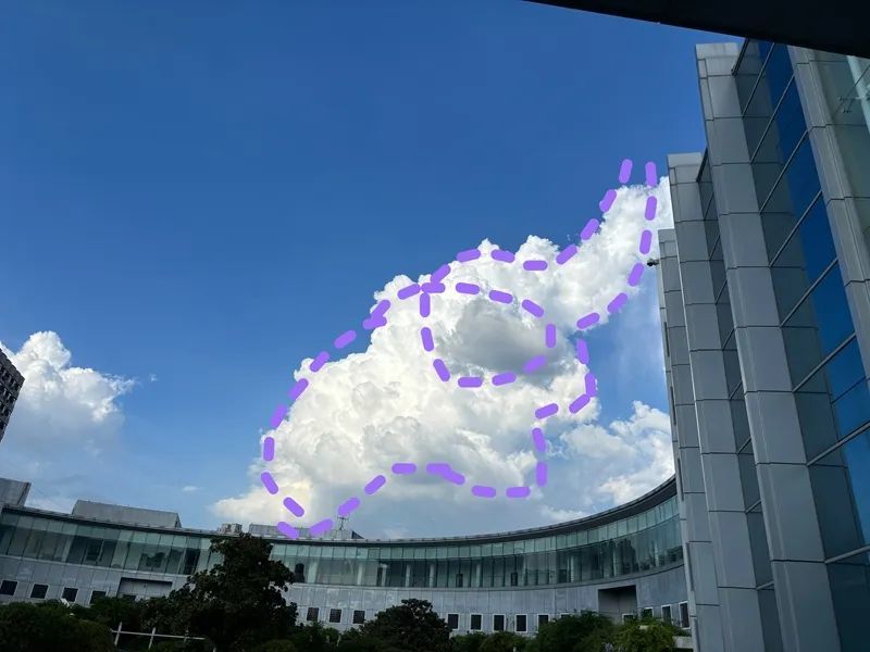 穿越云海见惊喜！郑州天空出现超大“大象云”