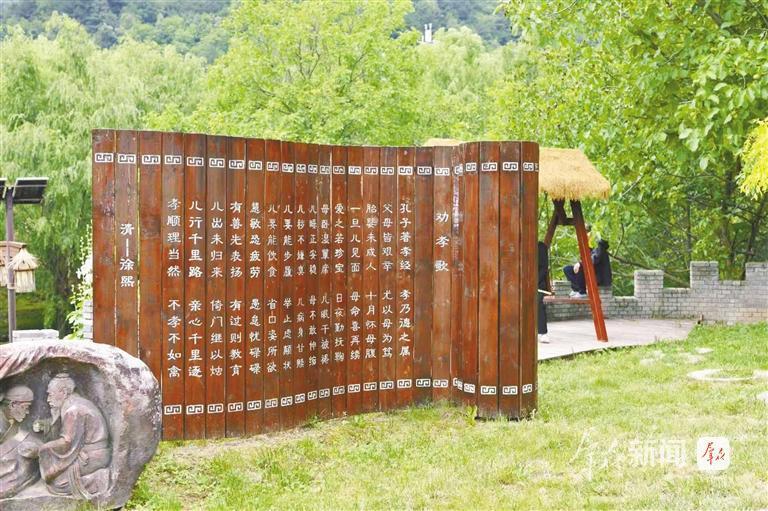 陕西积极培育“五美庭院”示范户、示范村，打造秦女子“庭院+”品牌工程——乡村提“颜值” 庭院增“产值”
