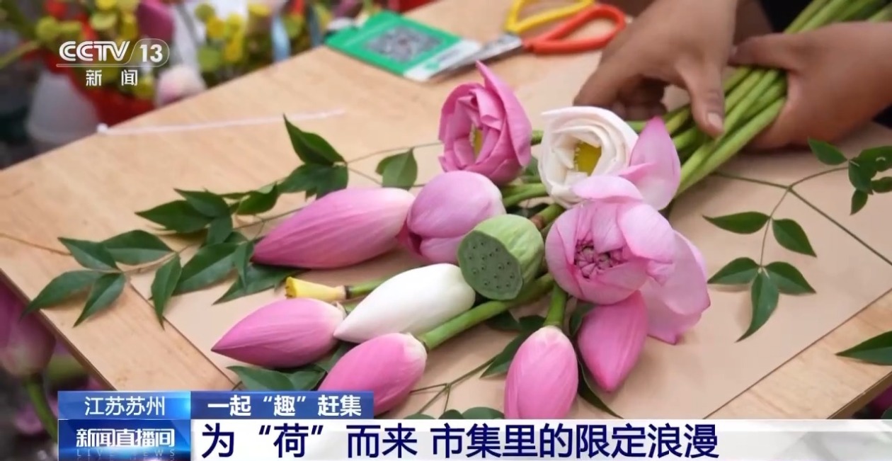 来苏州爆火的荷花市集 把江南的夏天捧在手里