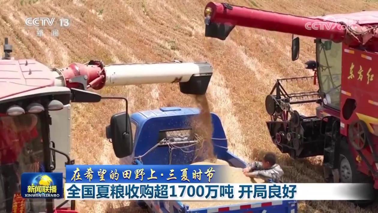 【在希望的田野上·三夏时节】全国夏粮收购超1700万吨 开局良好