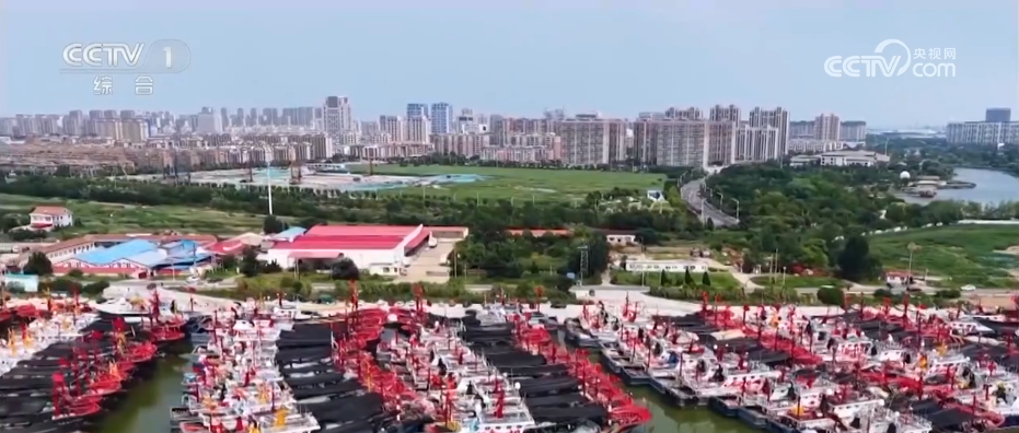千帆竞渡百舸争“鲜” 东海“小开渔”为百姓餐桌送上“舌尖上的盛宴”