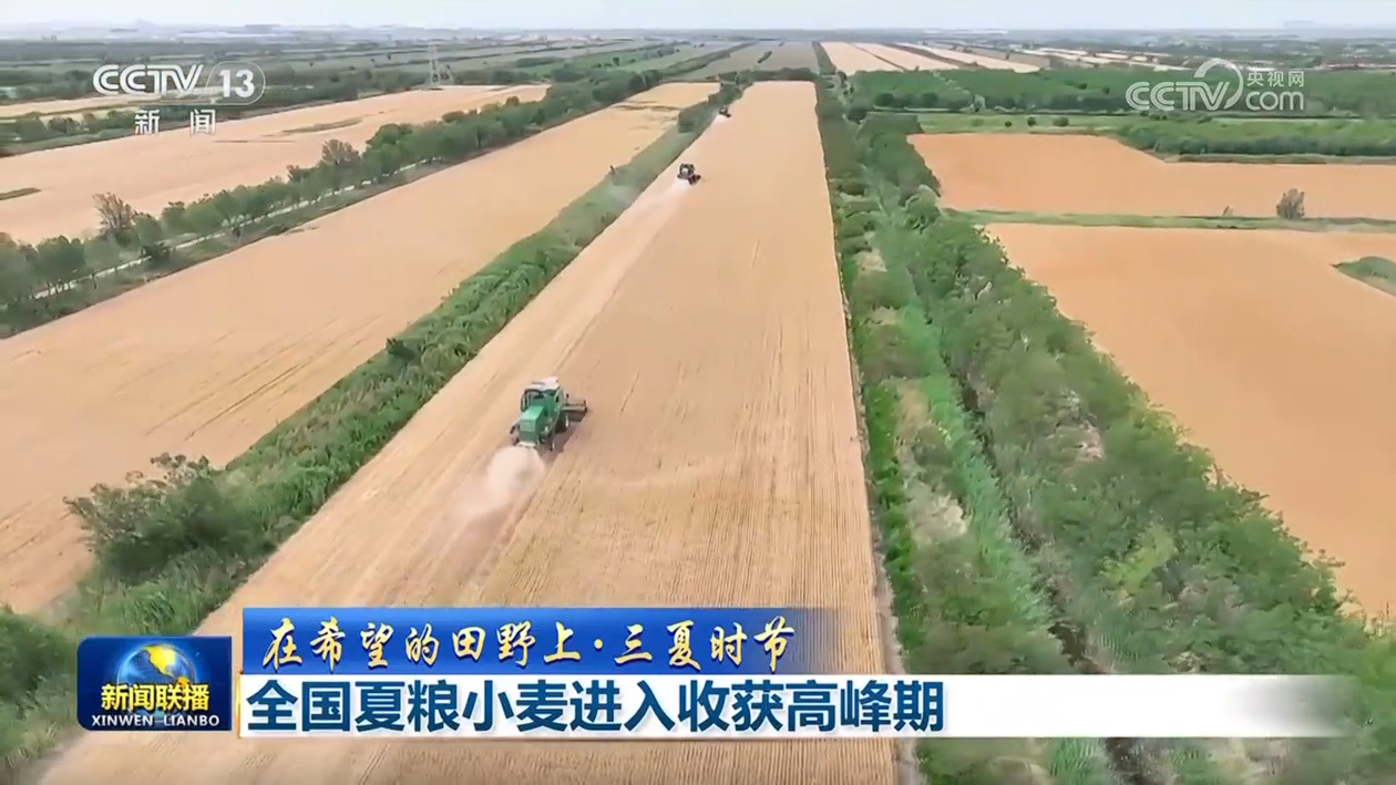 【在希望的田野上·三夏时节】全国夏粮小麦进入收获高峰期