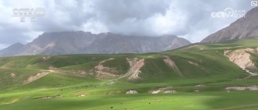 天山牧场、油菜花海、湿地漂流……大美中国夏日风光美如画 农文旅融合绘新景