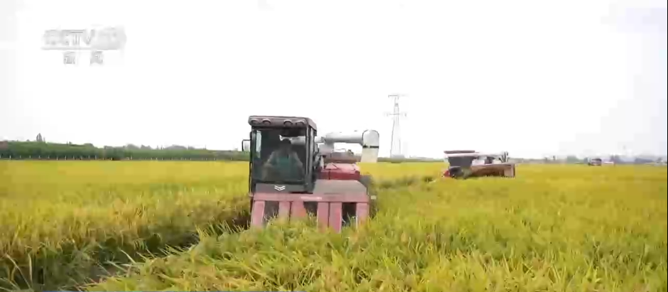 巡检机器人、无人化工厂……解锁农业“智”管新范式 科技赋能好“丰”景