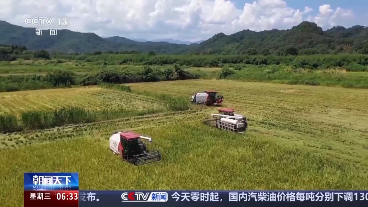 热热热！高温橙色预警继续 多地上线避暑妙招送清凉