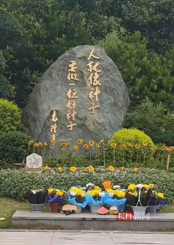 袁隆平院士逝世四周年，夫人邓则到墓园祭扫，凝神注目表达思念