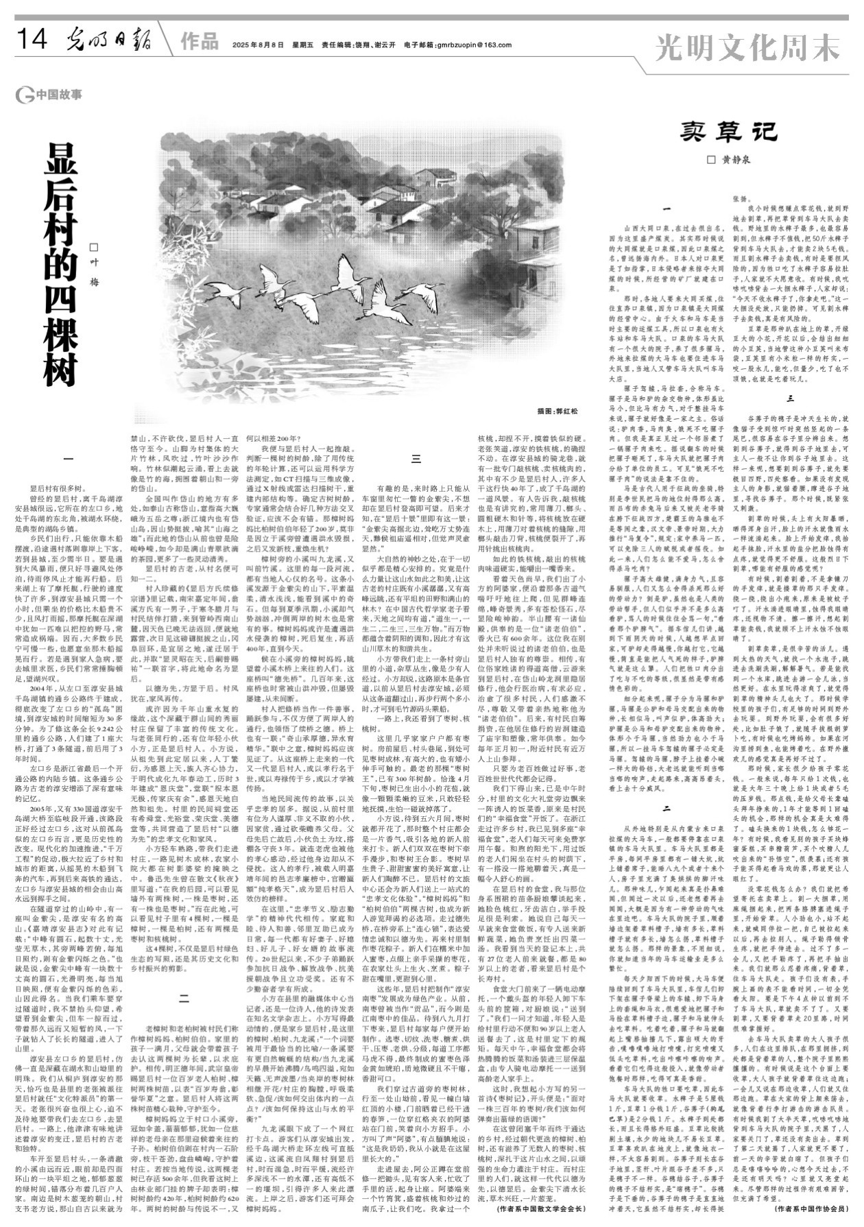 显后村的四棵树