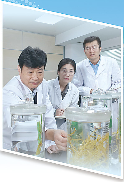一粒新型复合肥的田间突围（科技视点·看科技成果如何“变身”新质生产力）