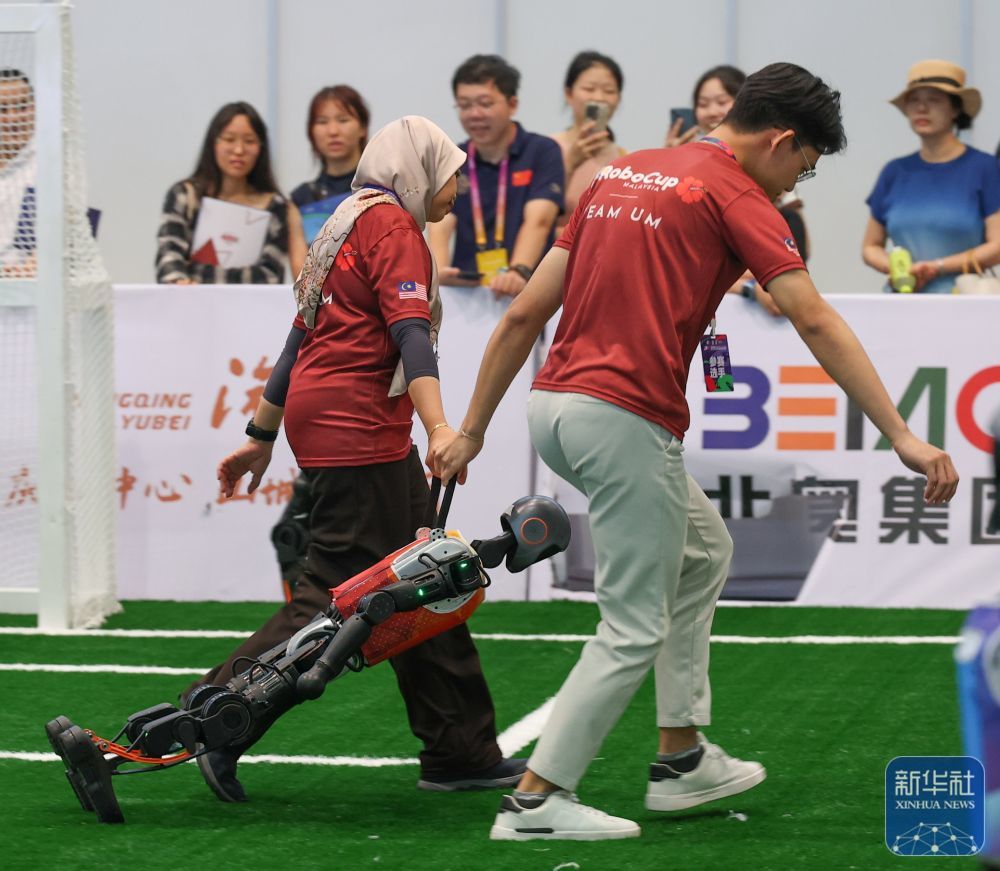 新华全媒+丨智博会上看“智造”