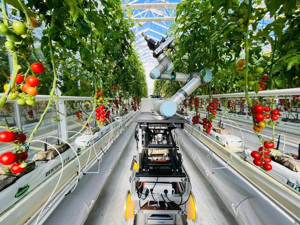 创新性突破！世界首台，研制成功