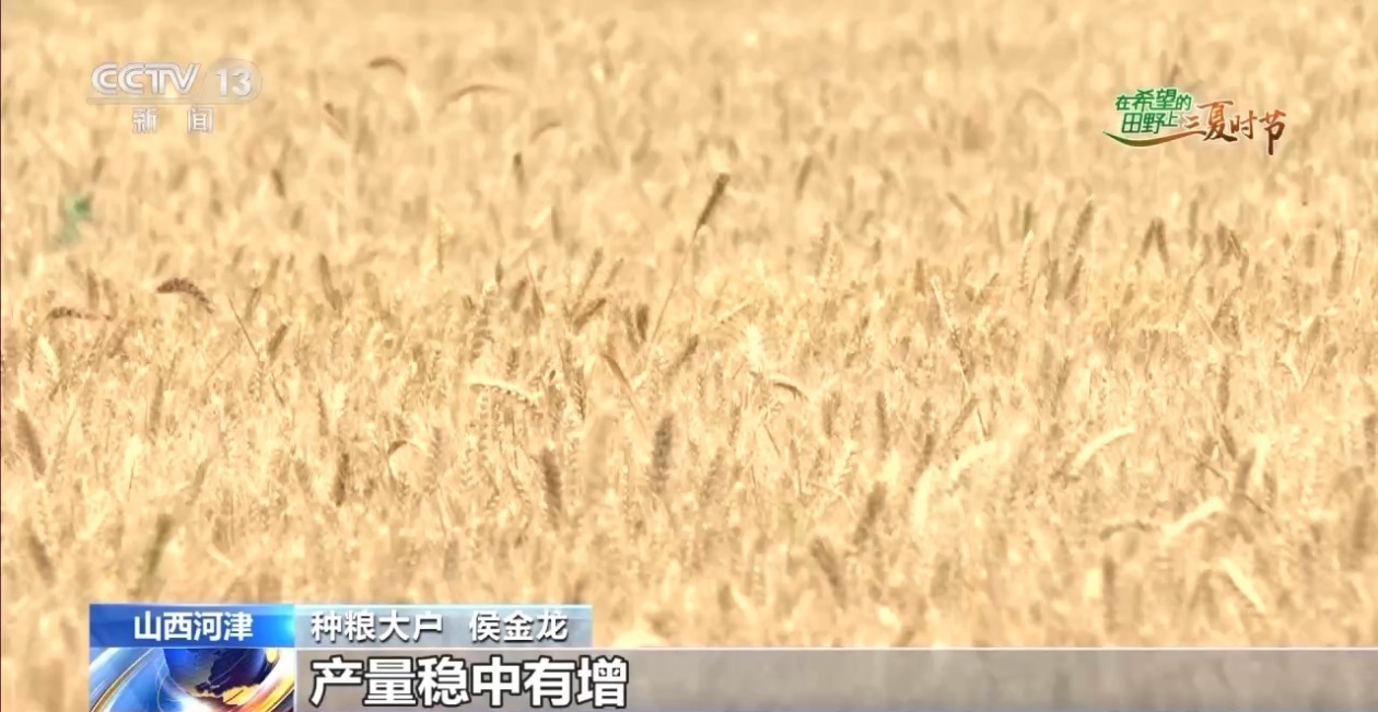 “良技+良机” 这个夏收季“科技范”满满
