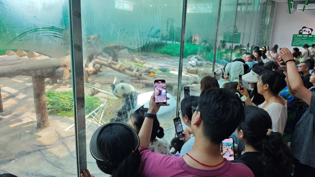 四川绵阳北川“熊猫+羌韵”点燃夏日文旅热