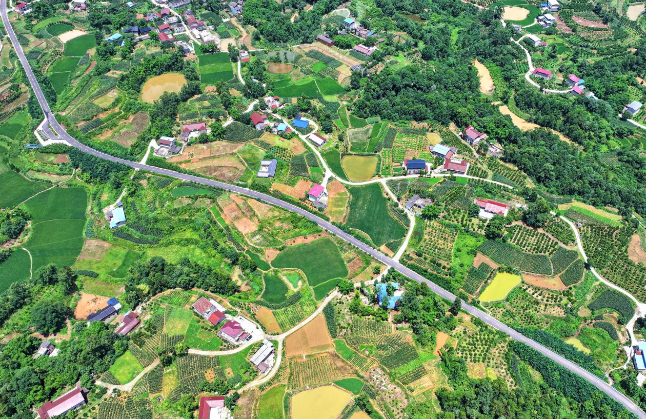 四川仁寿“四好农村路”村民都说好   条条坦途通振兴