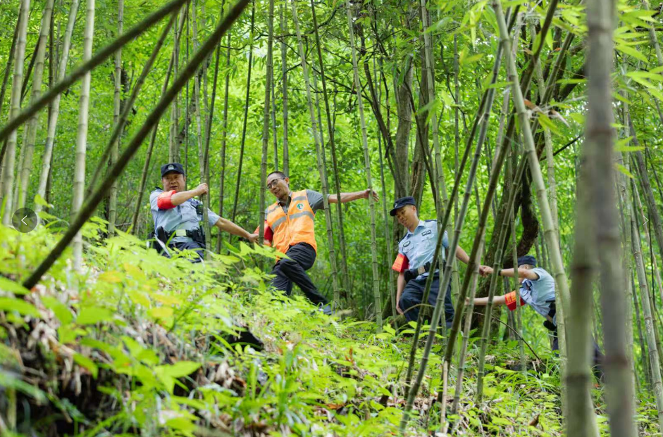 藏蓝映翠绿  山青绿意深——重庆市南川区生态警长李宗明36载“守山人生”