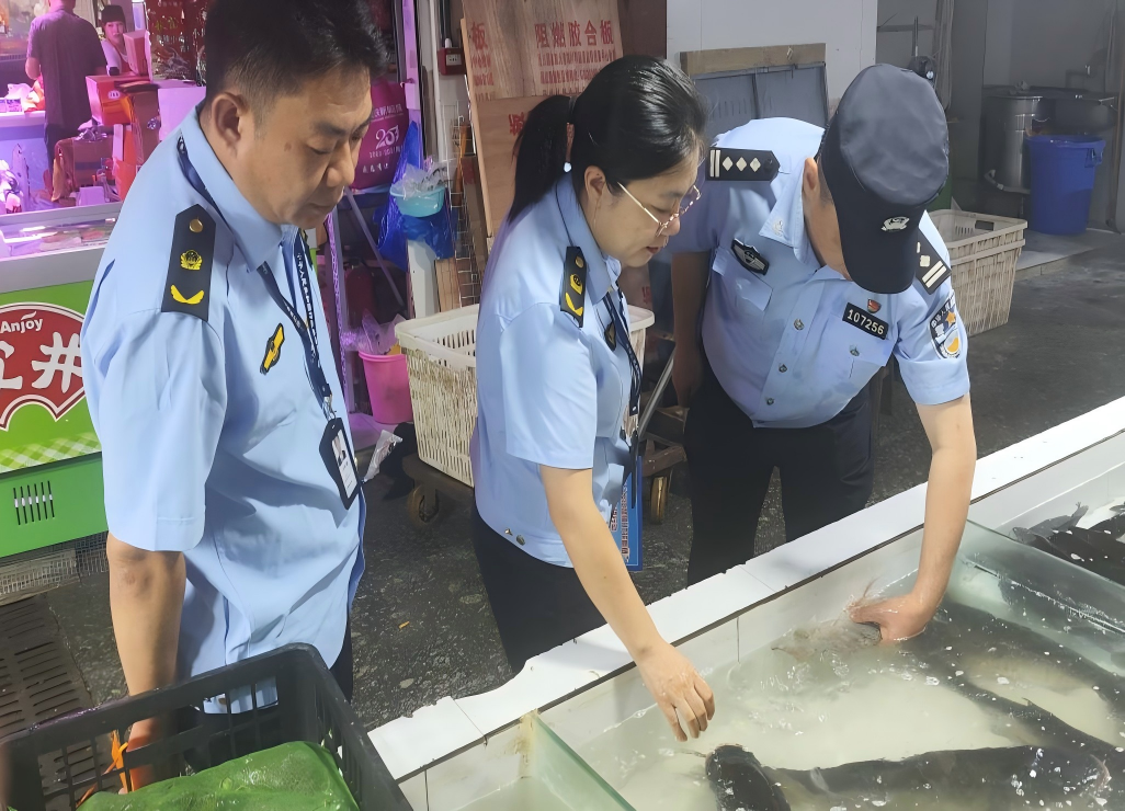 重庆大渡口：联动执法聚合力 长江禁渔在行动