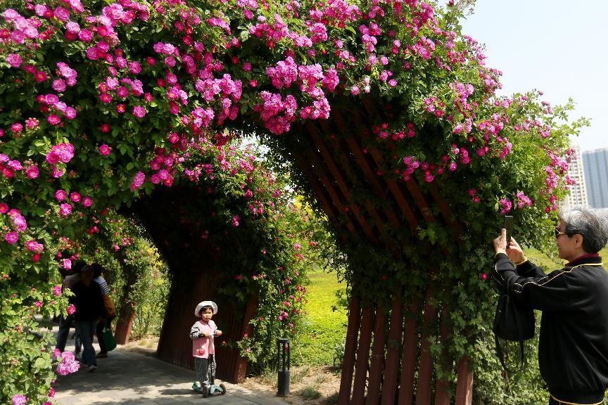 花园北京丨草桥生活满绿意  芬芳开成“新经济”