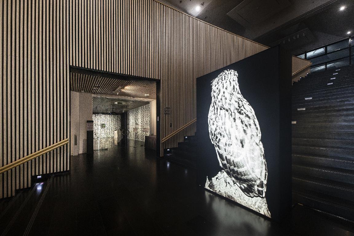 展览“自然契约”登陆清华艺博 作品涵盖生物媒介、人工智能等形式
