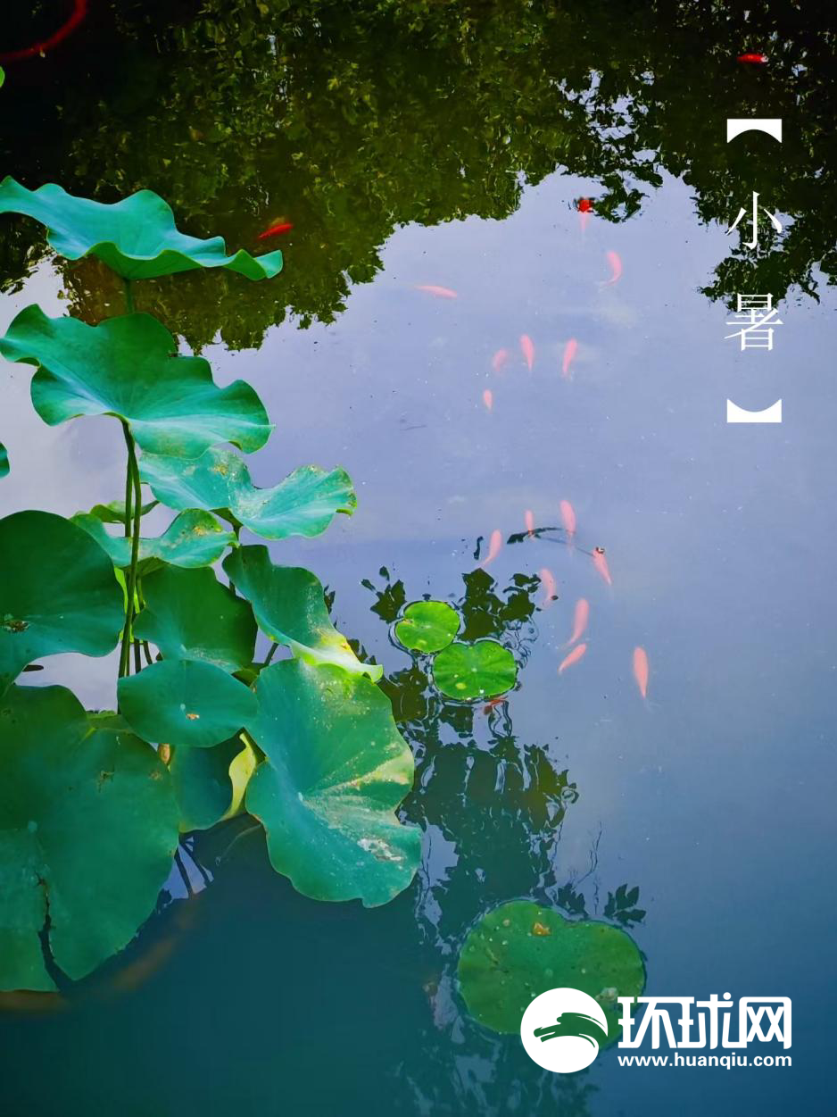 小暑节气：热浪夏天