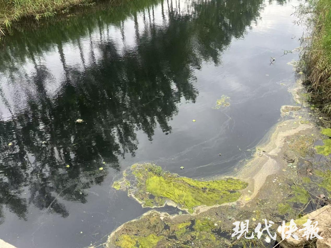 淮安涟水一河流变黑臭，当地镇政府回应
