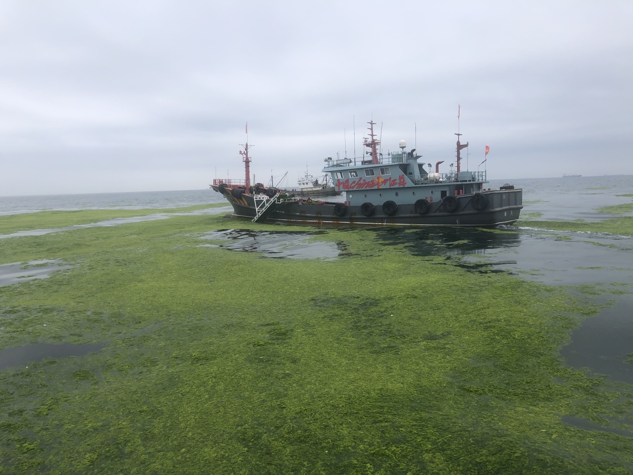 江苏发布海洋生态预警监测公报