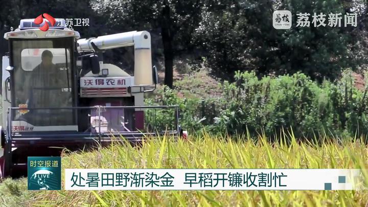 江苏：处暑田野渐染金 早稻开镰收割忙