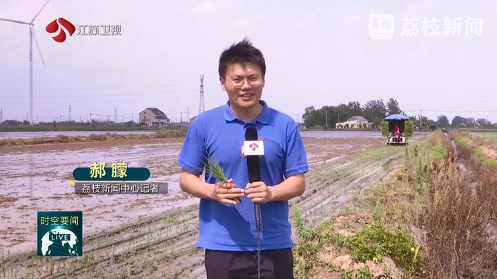 科技赋能节本增效 江苏水稻播栽进度约五成