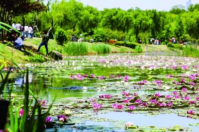 “五一”假期迎客量上榜全国景区Top3
