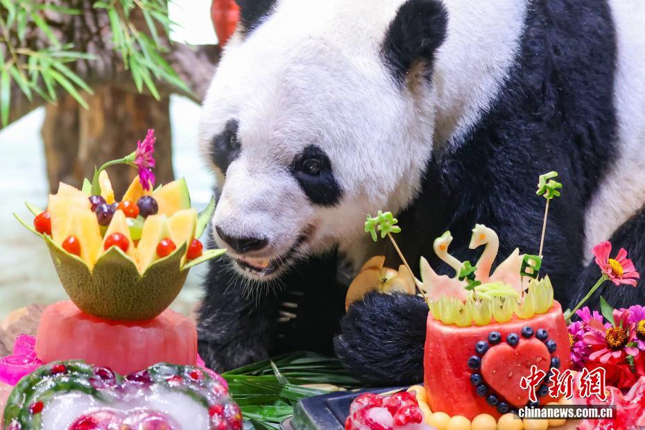 南京紫清湖举办大熊猫生日见面会