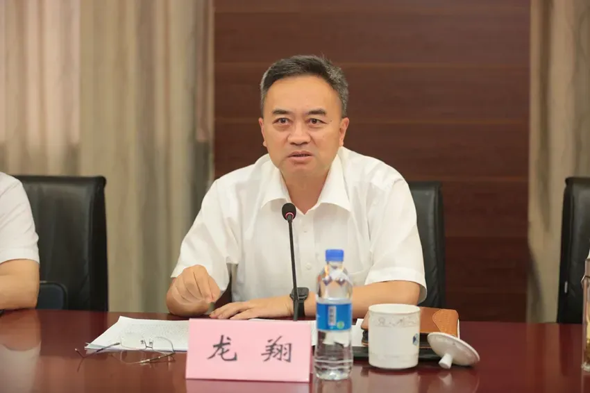 龙翔，被罢免