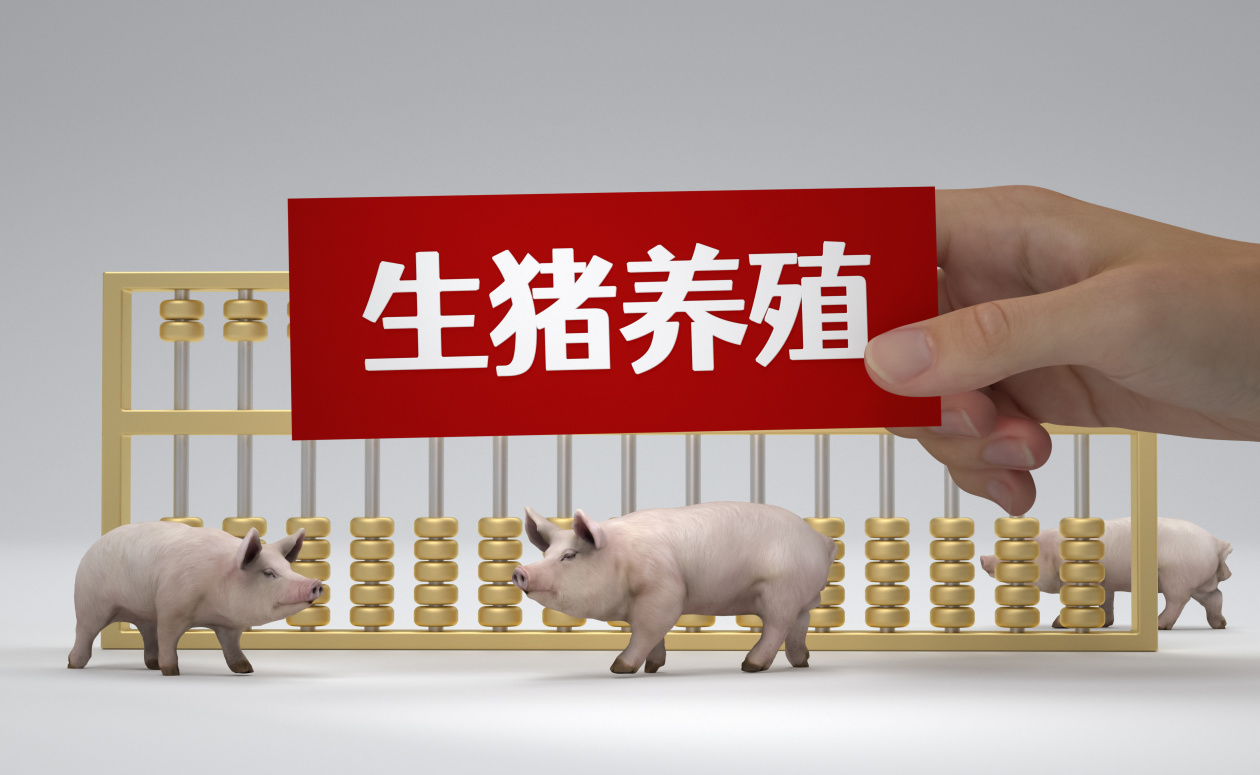猪价“跳水”养殖反“盈利”，成本下降成关键“防火墙”