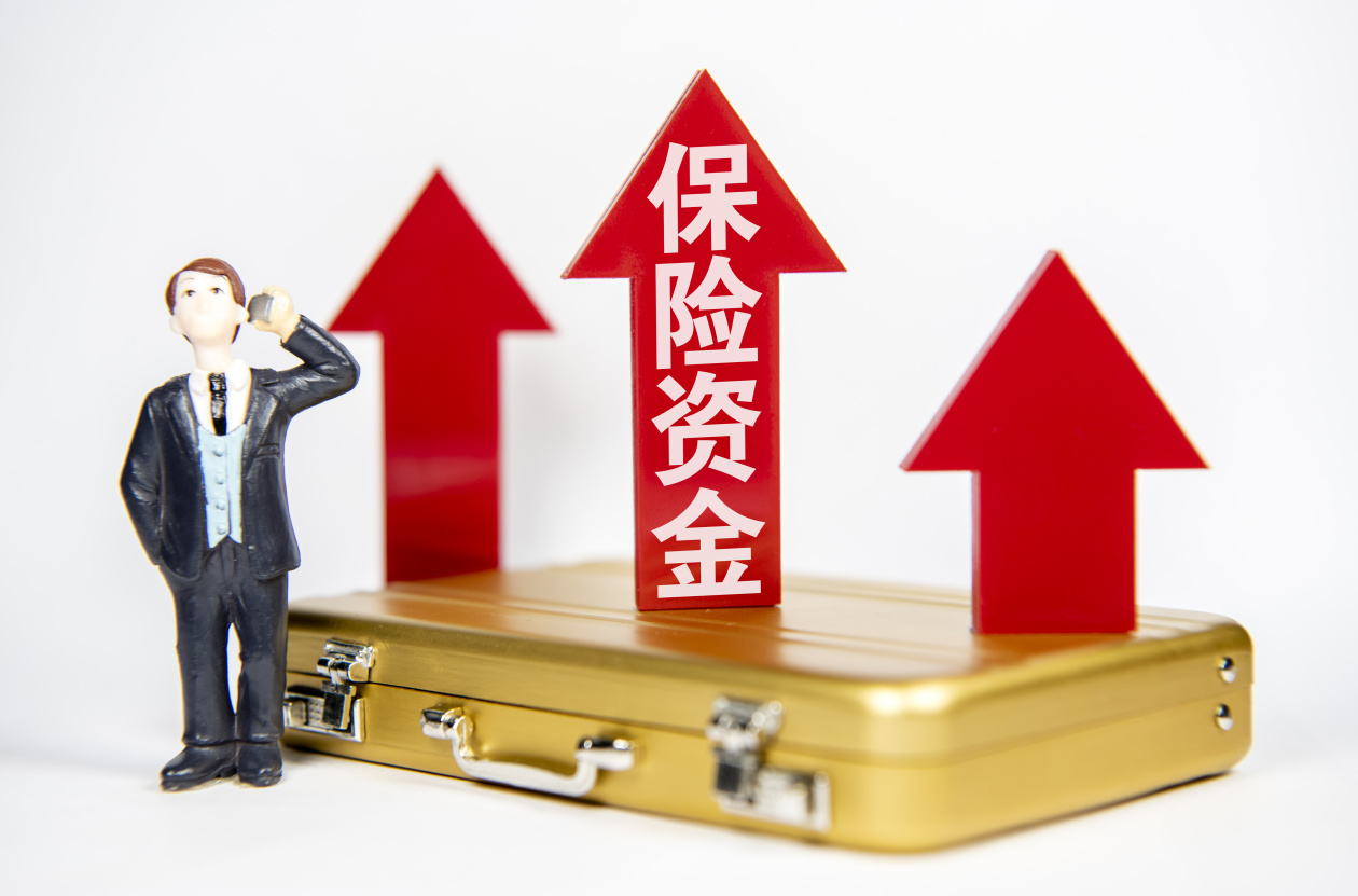 险资调研高股息、科技成长资产