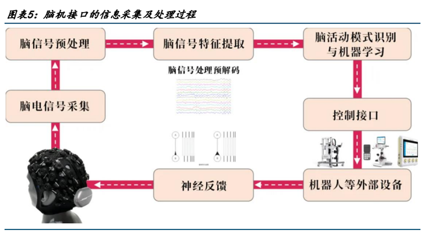 脑机接口产业加速落地，券商：产业曙光更亮