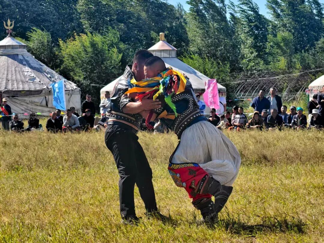 兴安盟科右前旗:首届“兴鹿堂”杯搏克射箭大赛举行