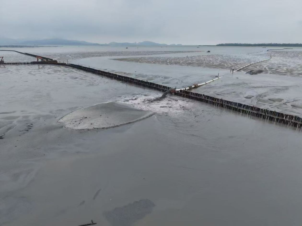 阳西县红树林湿地生态修复项目启动大规模筑岛回填施工