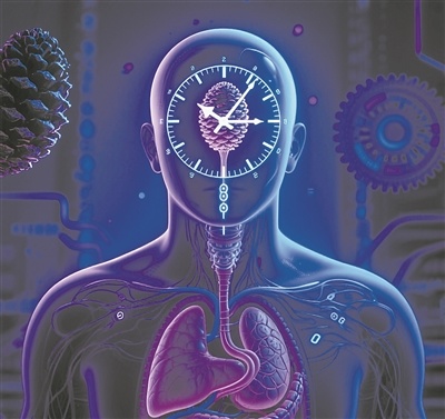 “时间疗法”开启健康管理新途径