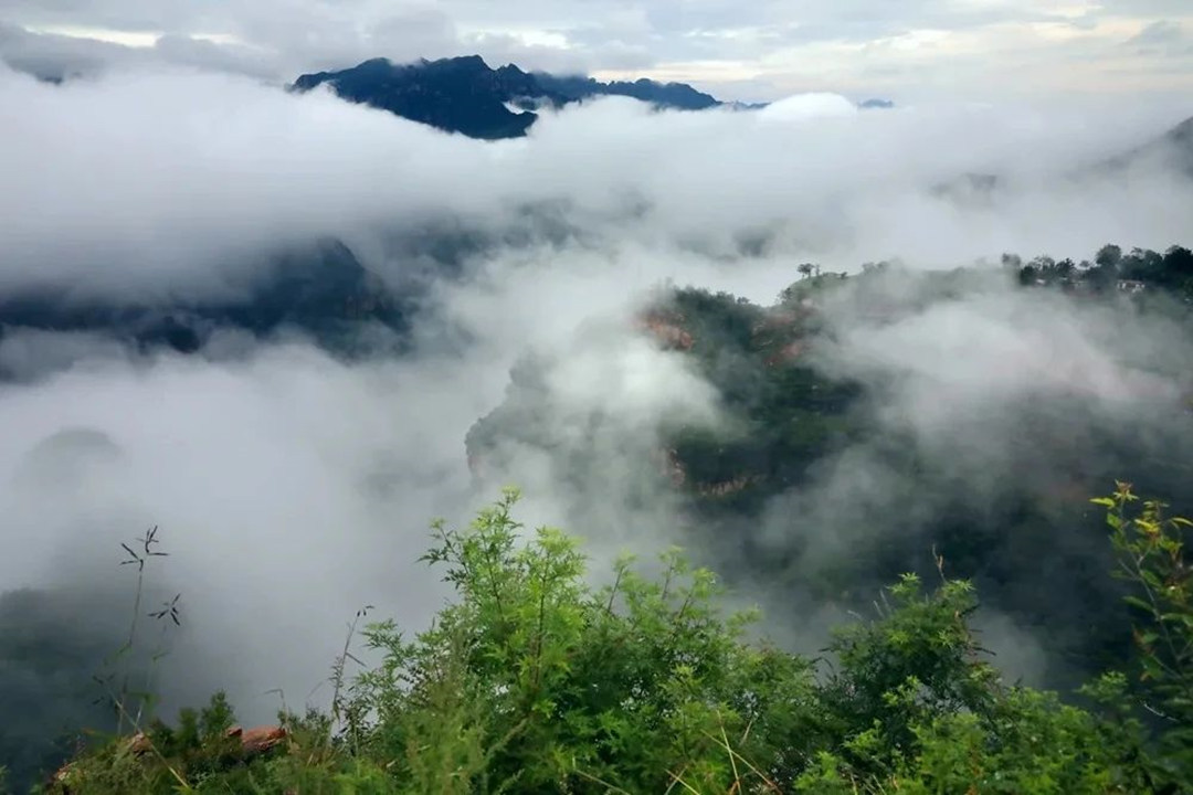 雨中太行大峡谷：云海翻涌 翠峰隐现