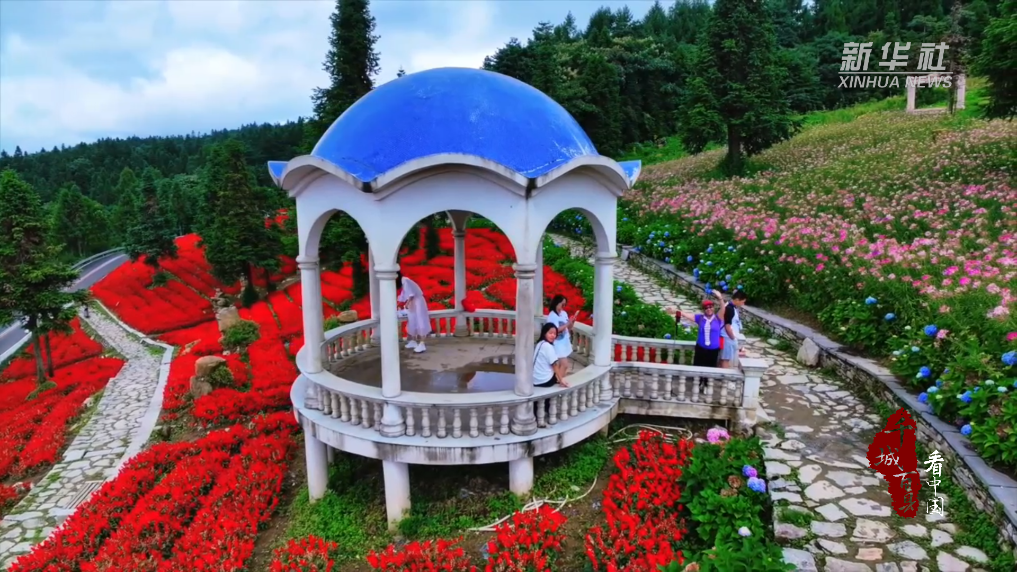 千城百县看中国|湖北巴东:森林花海醉游人
