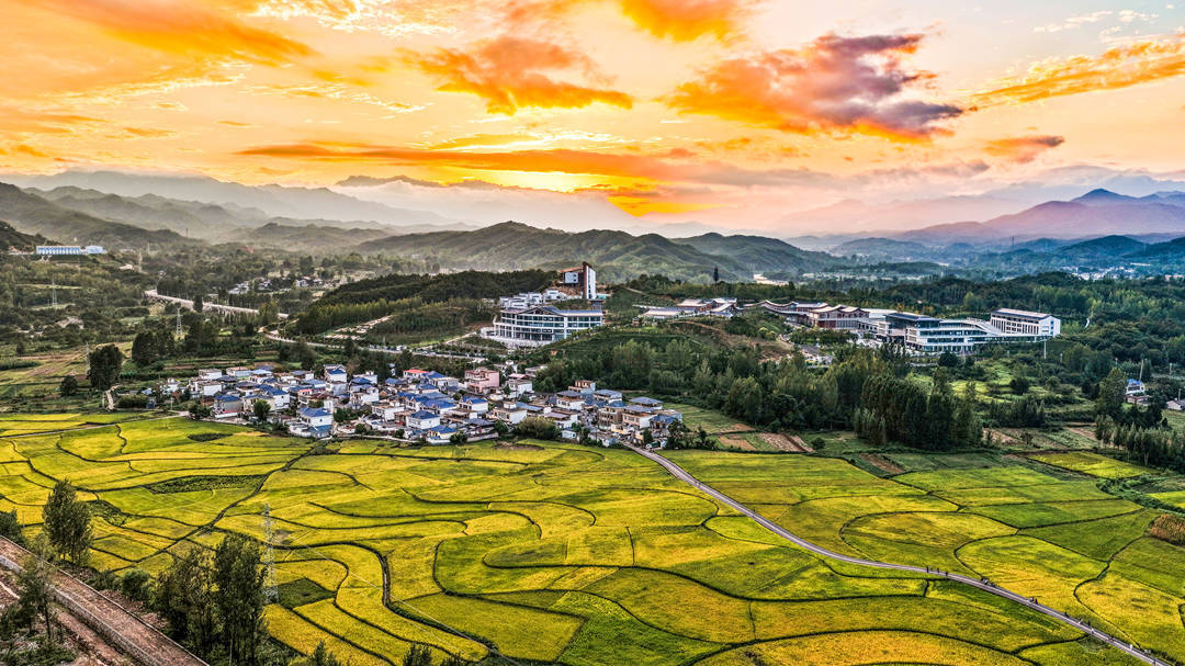 河南鲁山:百亩稻田将黄熟 引客打卡赏秋景