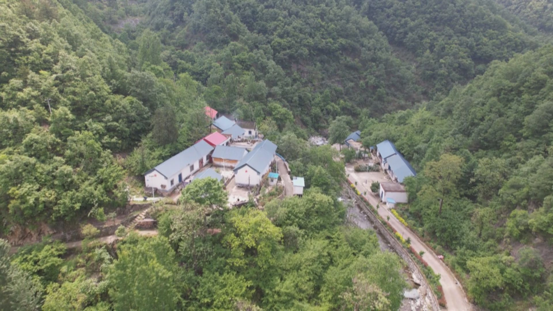 河南西峡:药香氤氲漫山乡 和美乡村入画来