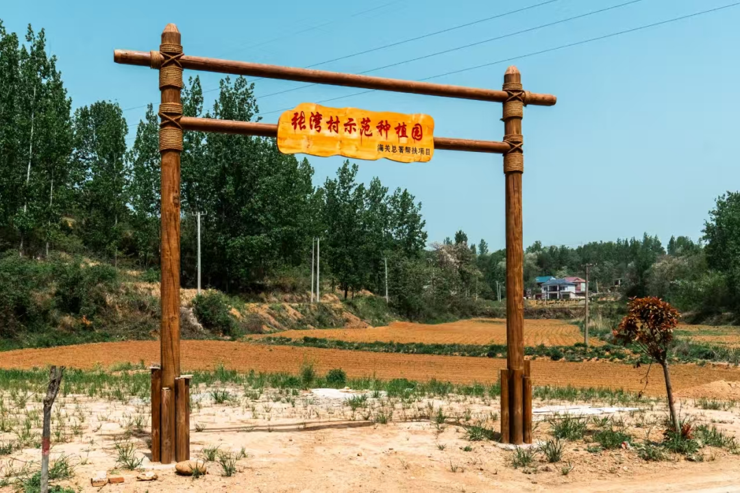 河南鲁山：产业民生双提升 乡村蝶变焕新颜