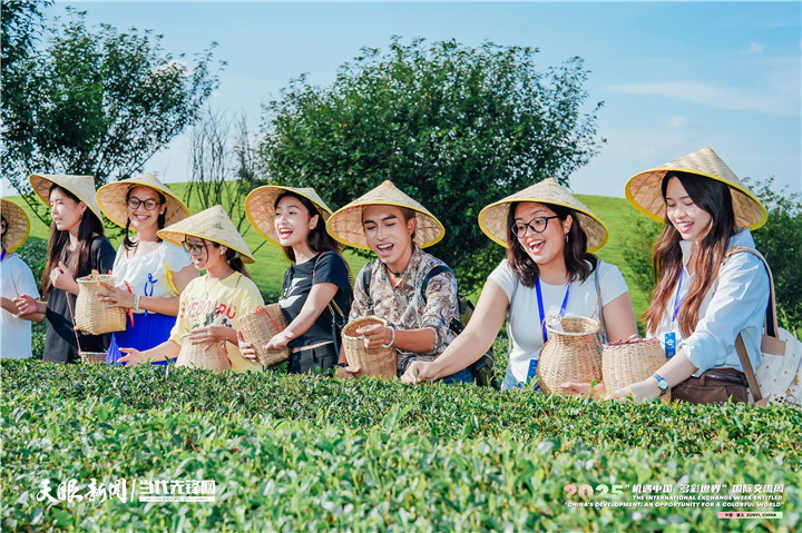 机遇中国 多彩贵州｜干了这杯新茶饮！中国茶新表达“圈粉”海外青年