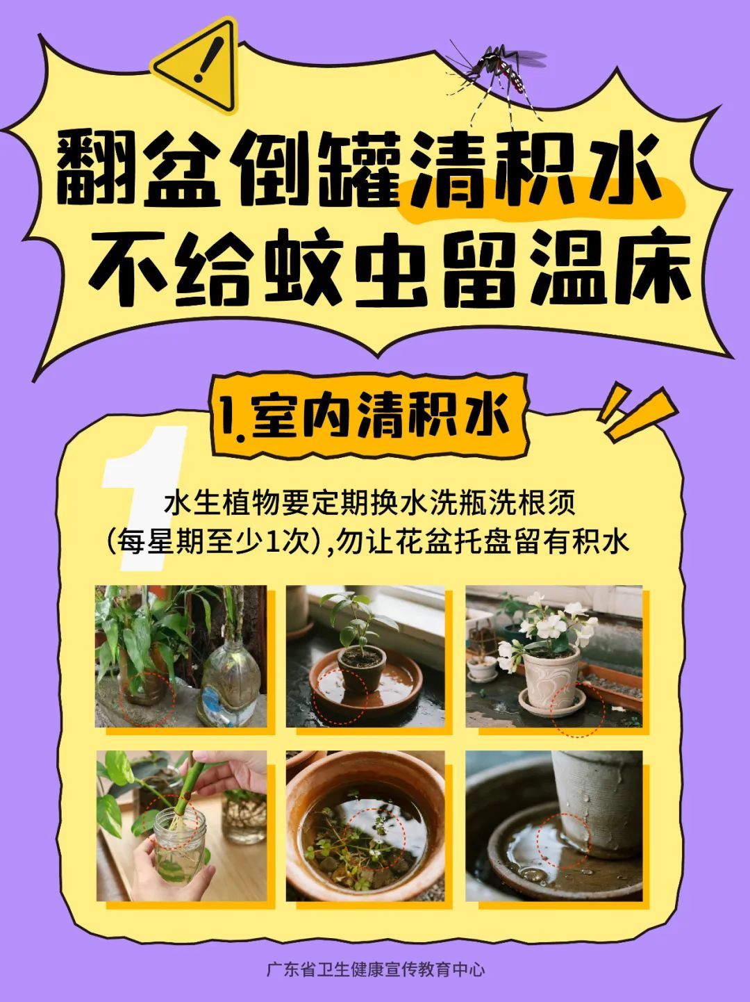 专家解读：基孔肯雅热一般不会二次感染，若感染建议住院隔离