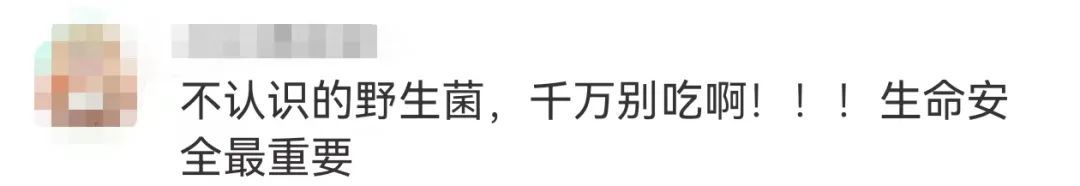 “宁愿信没煮熟，也不信有毒！”云南多名男子吃野生菌前喊免责声明，网友急了
